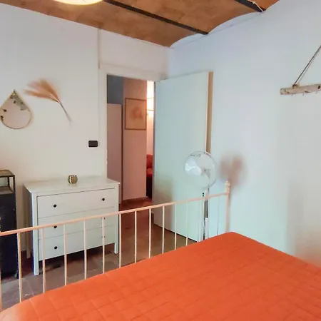 Daya By Barbarhouse *