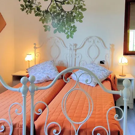 Daya By Barbarhouse *