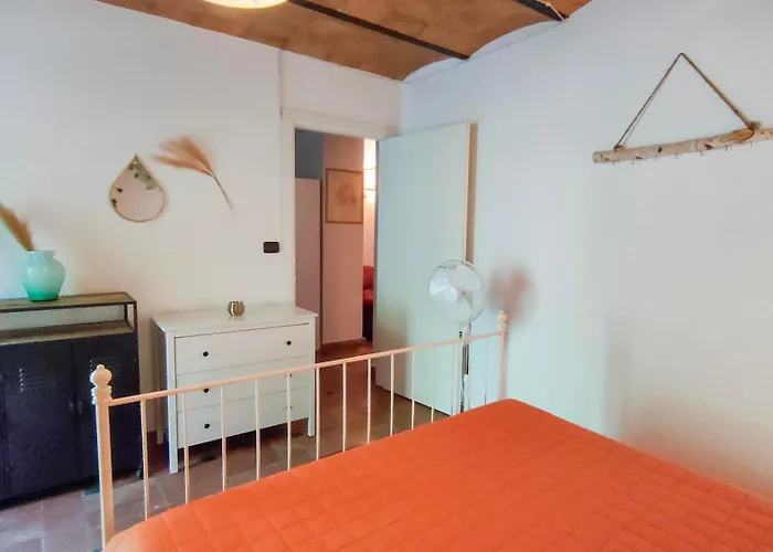 Daya By Barbarhouse *