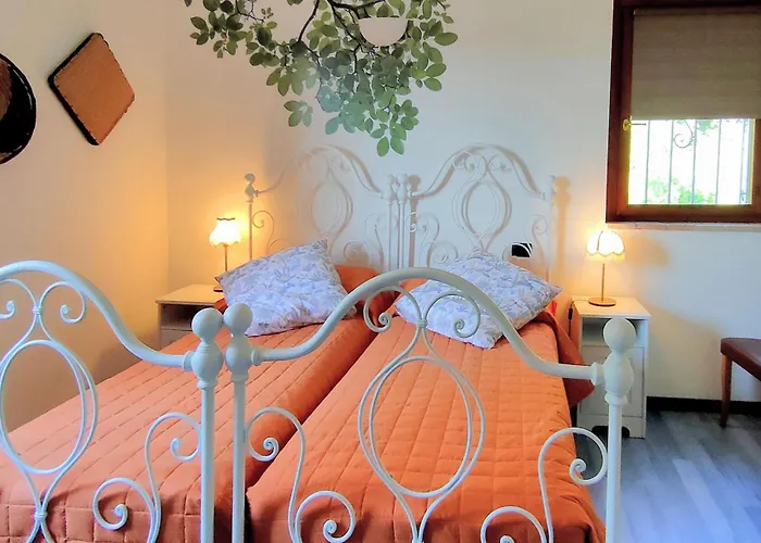 Daya By Barbarhouse *