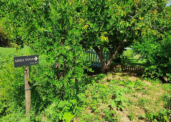 Villa Daya By Barbarhouse